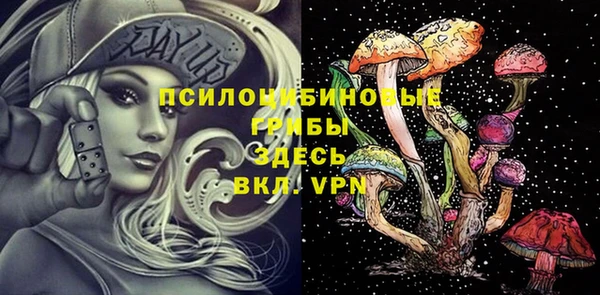 шишки Сосновоборск