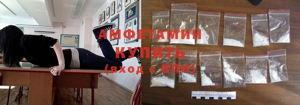 крисы Абаза