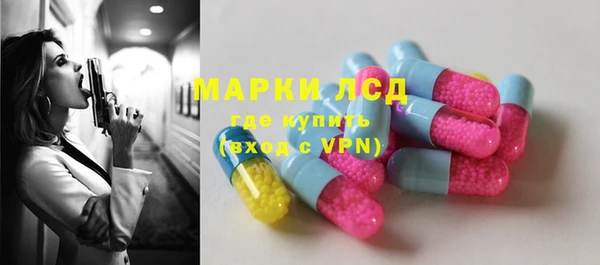 шишки Сосновоборск