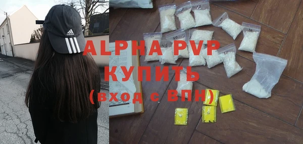 крисы Абаза