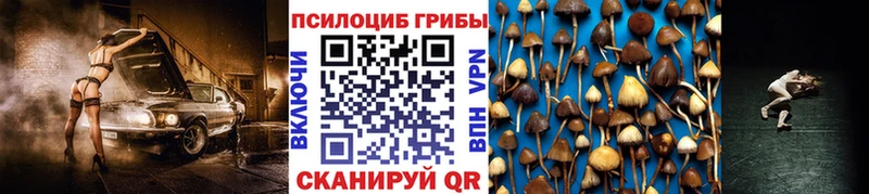 Псилоцибиновые грибы Magic Shrooms  Зерноград 