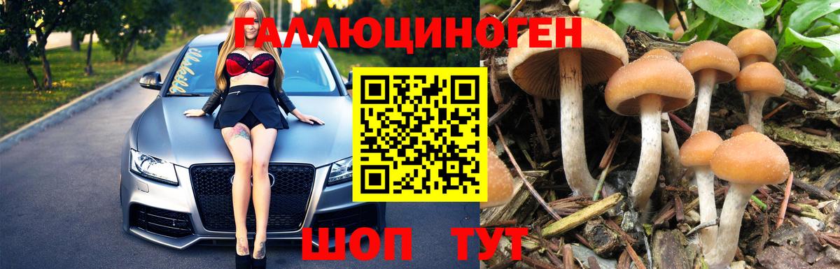 Галлюциногенные грибы Cubensis Зерноград